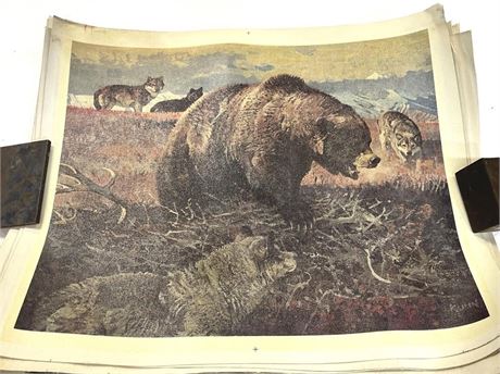 Bob Kuhn Grizzly Bear and Wolves Canvas Prints