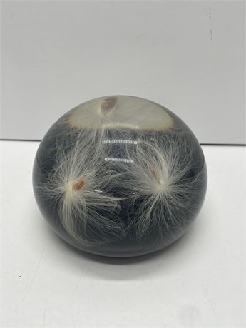 Lucite Paperweight