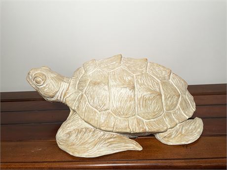 Large Loghed Turtle