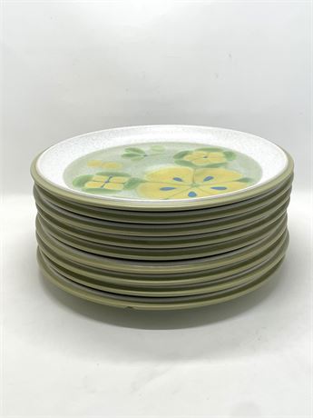Nine (9) South Pacific Plates