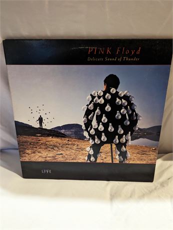 Pink Floyd "Delicate Sound of Thunder"