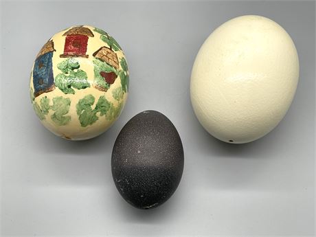 Ostrich and Emu Eggs