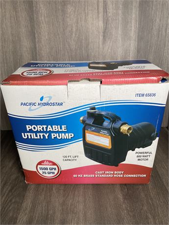 Pacific Hydrostar Portable Utility Pump