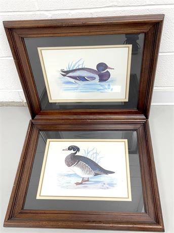 Vanguard Studios Framed Duck Prints