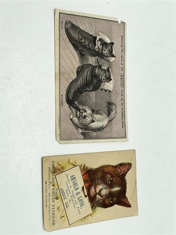 Antique Cat Trade Card Lot 3