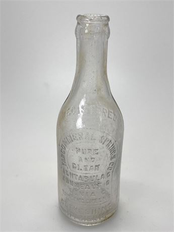 Fargo Mineral Springs Ashtabula Bottle