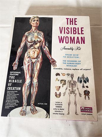 The Visible Woman