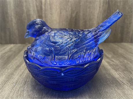 Cobalt Blue Dove on Nest