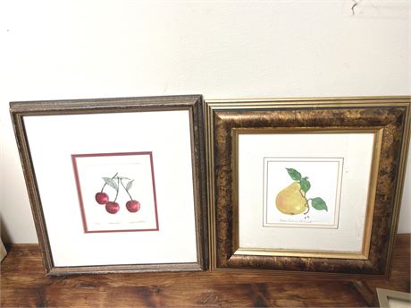 Framed Fruit Watercolor and Lithograph